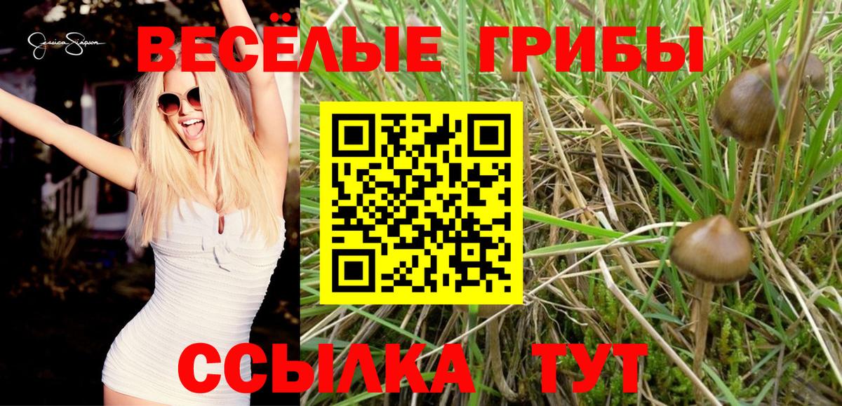 Псилоцибиновые грибы Psilocybine cubensis  Вход с VPN  купить закладку  Галлюциногенные грибы Psilocybe  Нефтеюганск 